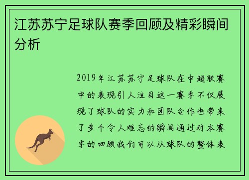 江苏苏宁足球队赛季回顾及精彩瞬间分析